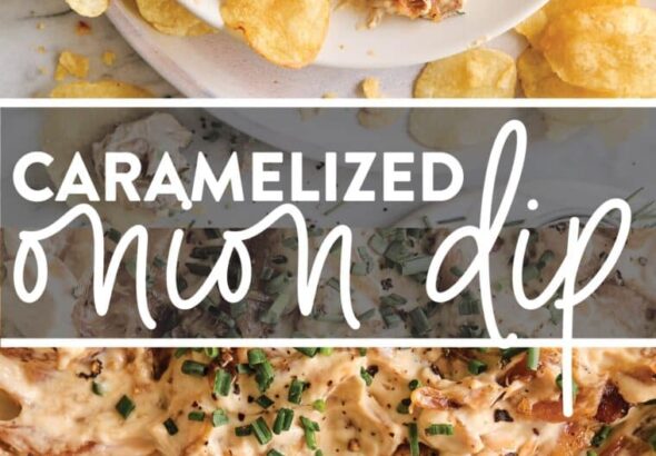 Caramelized-Onion-Dip-760x1750.jpg