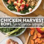 Chicken-Harvest-Bowl-Sweetgreen-Copycat-760x1750.jpg