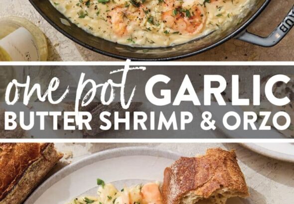 One-Pot-Garlic-Butter-Shrimp-and-Orzo-760x1750.jpg